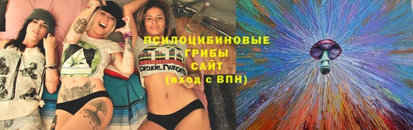 молекула духа Балахна