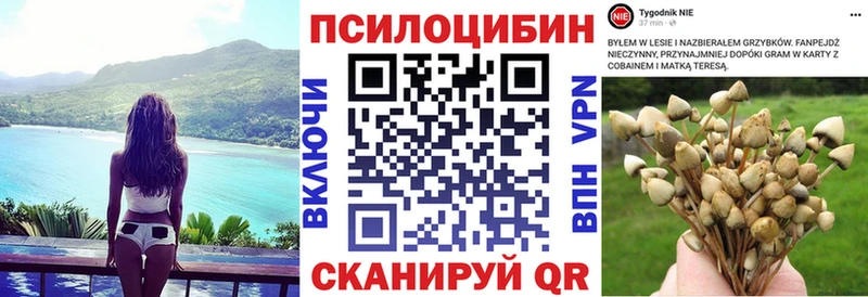 Псилоцибиновые грибы мицелий что такое наркотик Славгород