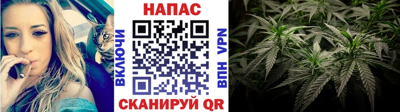МАРИХУАНА SATIVA & INDICA Славгород